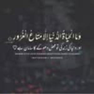 Meet your Posher, Dm